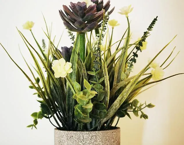 Casa Rustica Con Giardino *