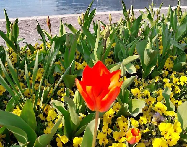 Casa Rustica Con Giardino * كابرينو فيرونيسي