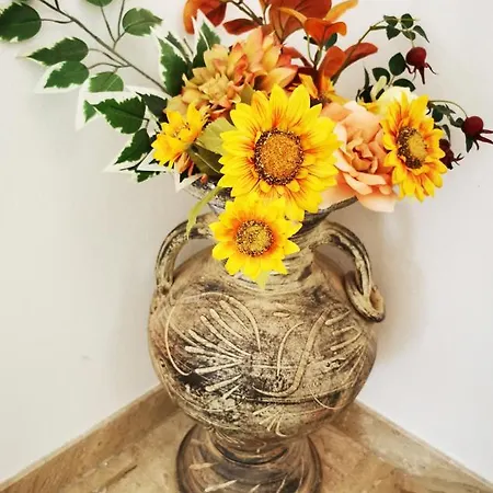 Casa Rustica Con Giardino 別荘 *