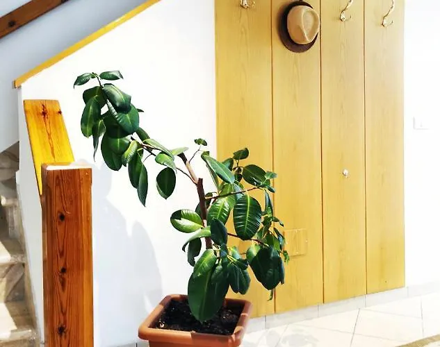 Casa Rustica Con Giardino