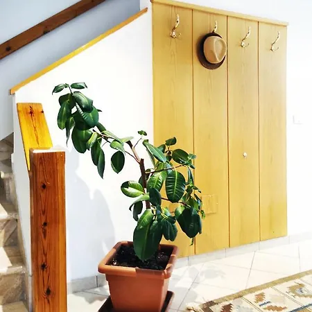 Casa Rustica Con Giardino